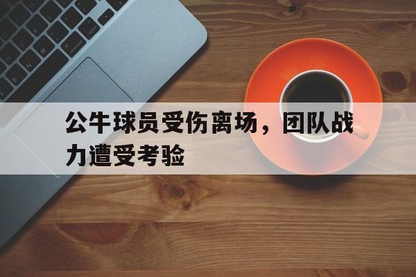 公牛球员受伤离场，团队战力遭受考验的简单介绍