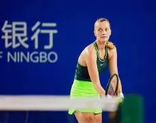 Scout焦点对战，科维托娃与80激战老鹰分钟，夺冠胜负难料！